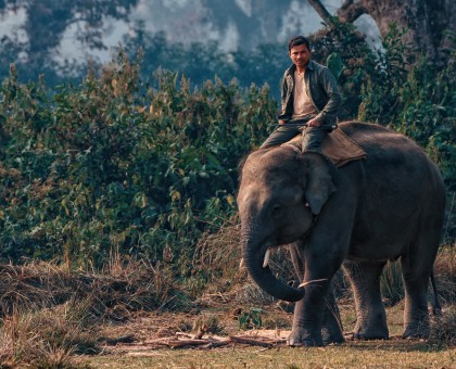 Chitwan Jungle Safari Tour